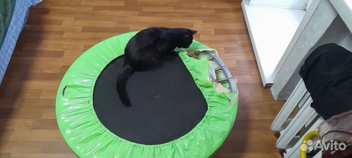 Детский батут