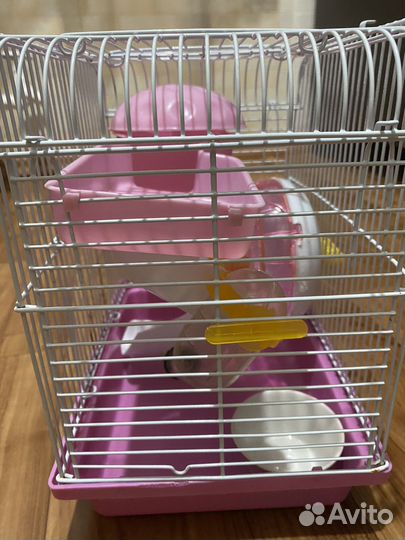 Клетка для джунгарского хомяка