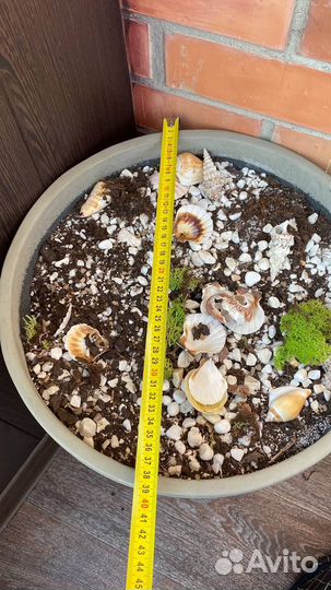 Продам кашпо для растений