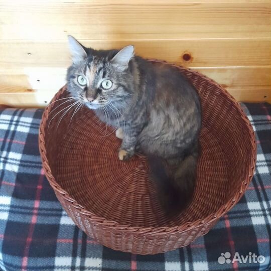 Лежанка для собак и кошек