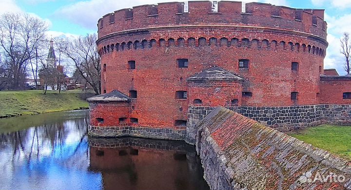 Экскурсии в Калининграде