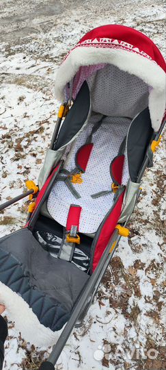 Коляска санки