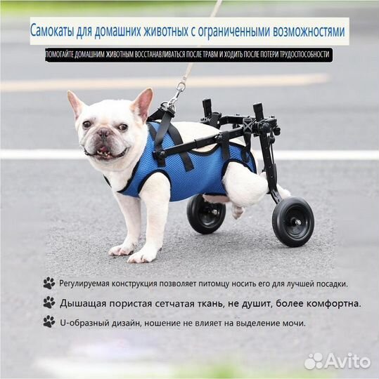 Инвалидная коляска для собак