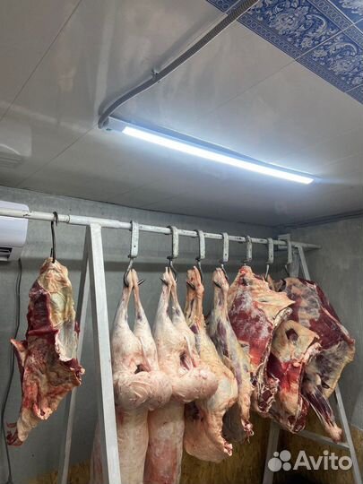 Мясо говядина халяль,баранина