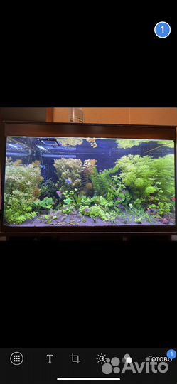 Аквариум