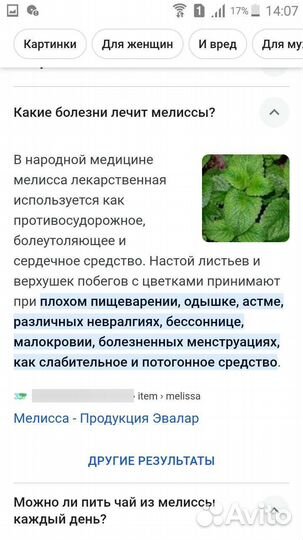 Мелисса (наземная часть)