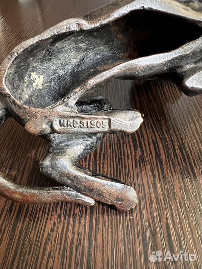 Собака поинтер Касли 1905 г