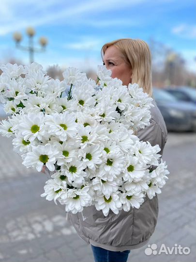 Хризантемы, ромашки, доставка цветов Казань