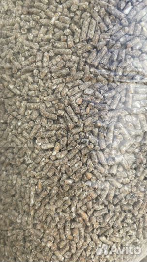 Baby Line chick от 0 по 25