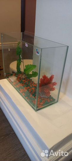 Аквариум
