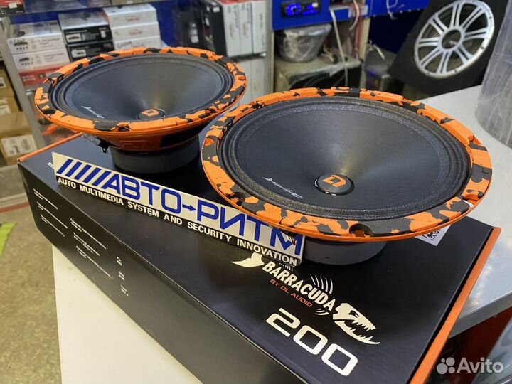 Акустическая система DL audio Barracuda 200