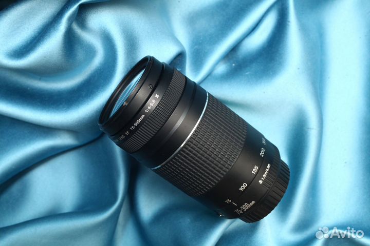 Canon EF 75-300 f/4-5.6 III
