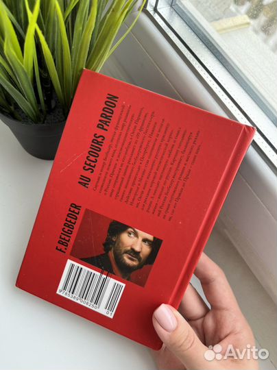 Книга Фредерик Бегбедер Идеаль