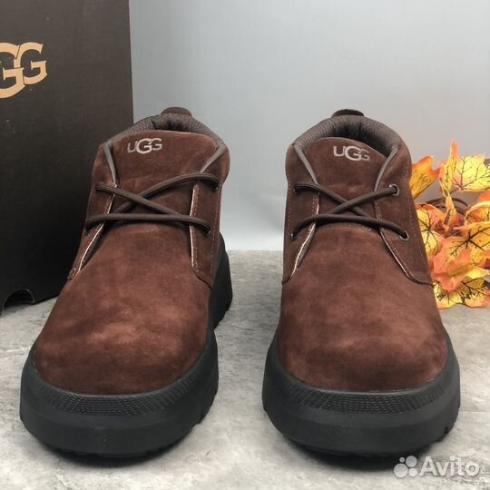 Ugg Mens Burleigh Chukka Dusty Cocoa