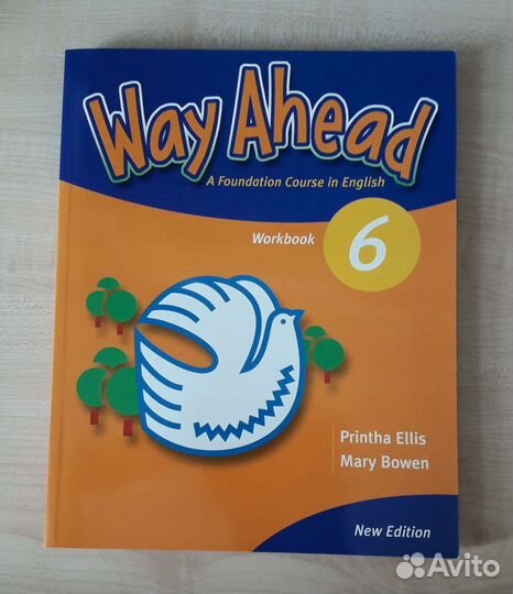 Way ahead 6 workbook + practice book
