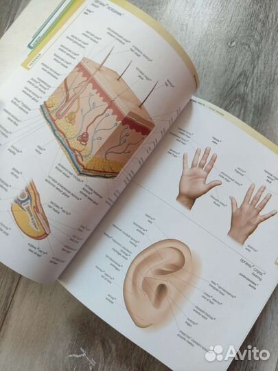 Визуальный словарь