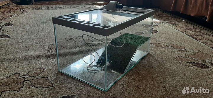 Аквариум для красноухой черепахи