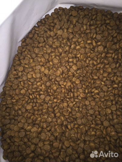 Корм для щенкоа проплан Pro Plan с ягненком