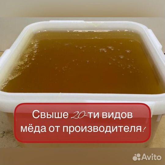 Липовый мед 2023 года. Опт. Доставка