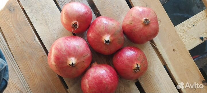 Овощи и фрукты оптом