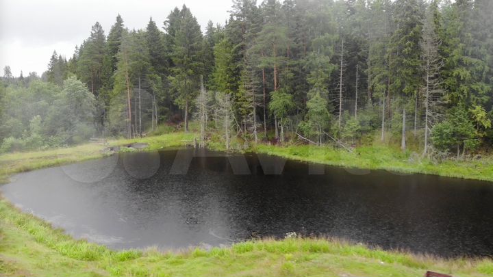Участок 29,4 га (СНТ, ДНП)