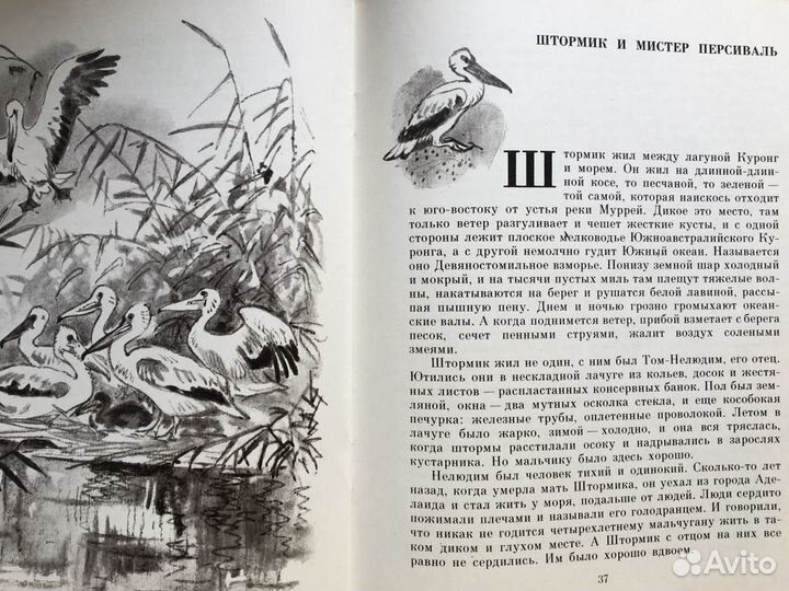 Книги для младшей и средней школы