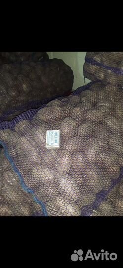 Продается картошка