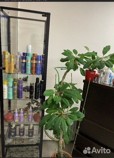 Аренда парикмахерского кресла