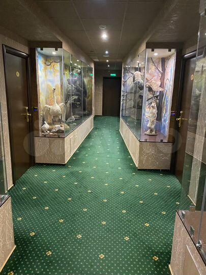 Свободного назначения, 17 м²