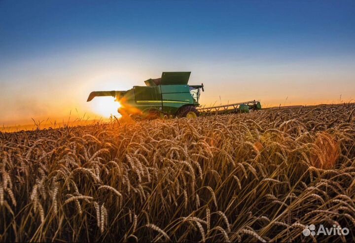 Уборка зерновых культур