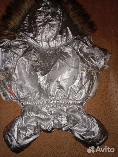 Одежда для маленьких собак