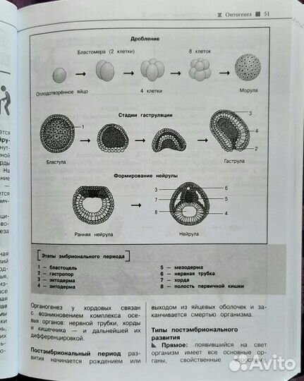 Справочники по биологии для подготовки к огэ и егэ