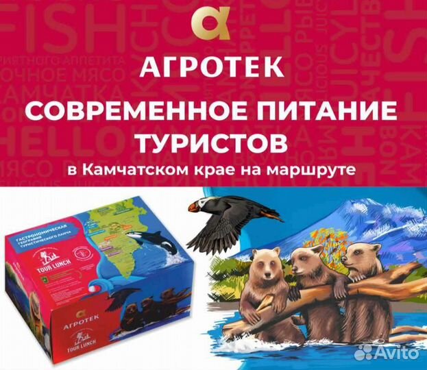 Туристическое питание