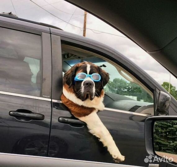 Водитель категория Б (на своем авто)