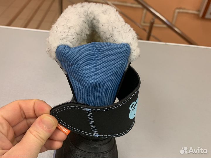 Demar bear новые зима