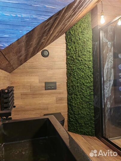 Фитопанели. Озеленение стен. Мох ягель, от