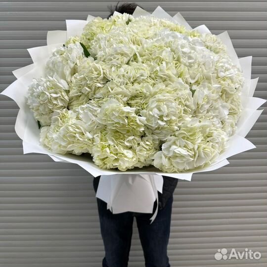 Гортензия / Доставка цветов / Букет цветов