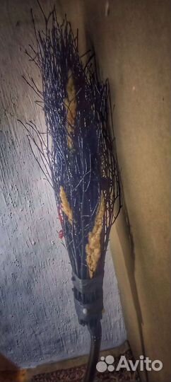 Метла Ведьмы