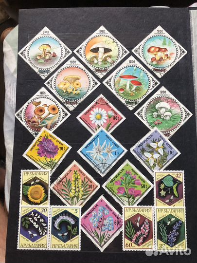 Почтовые марки