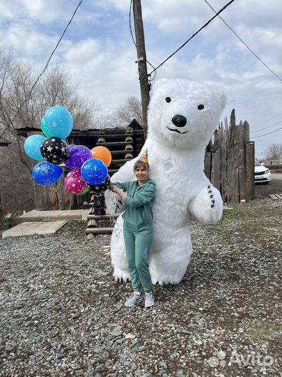 Белый мишка аниматор поздравления праздники