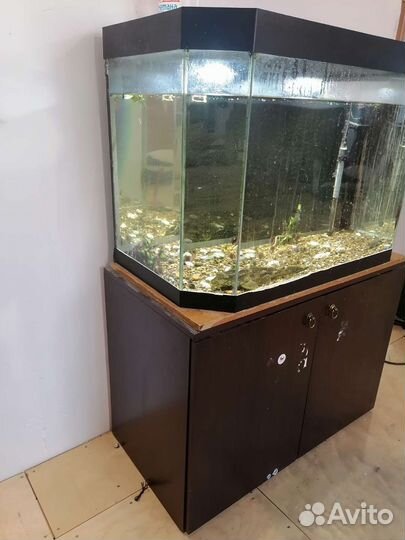 Аквариум 200 литров с тумбой