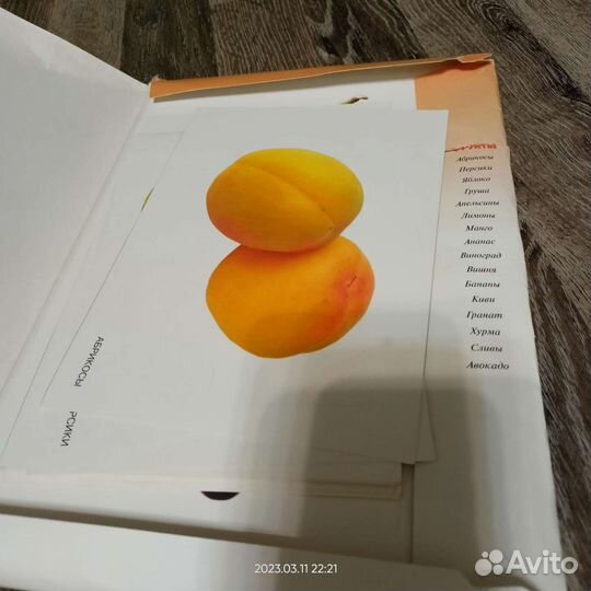 Развивающие материалы, тетради пиши- стирай