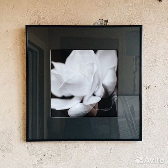 Диптих (2шт 50х50см)