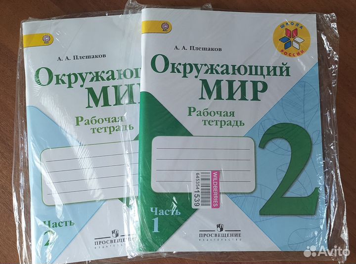 Рабочая тетрадь 2 класс Плешаков Окружающий мир