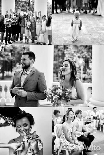 Свадебный фотограф