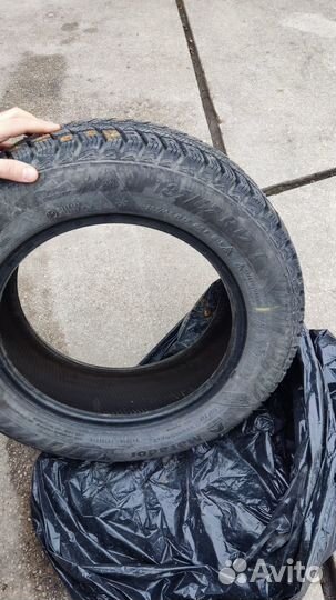 Matador MP 50 Sibir Ice 185/65 R15