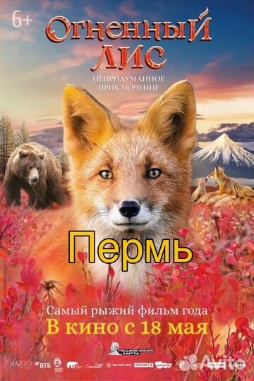 Билеты в кино 1/2 г. Пермь