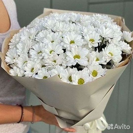 Хризантема. Букеты Цветы доставка