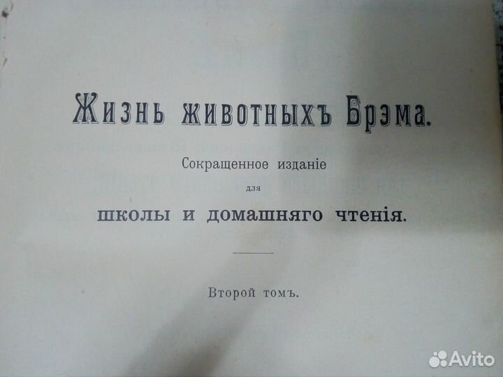 Редкая антикварная книга. Брэм