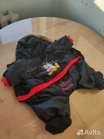 Одежда для собак